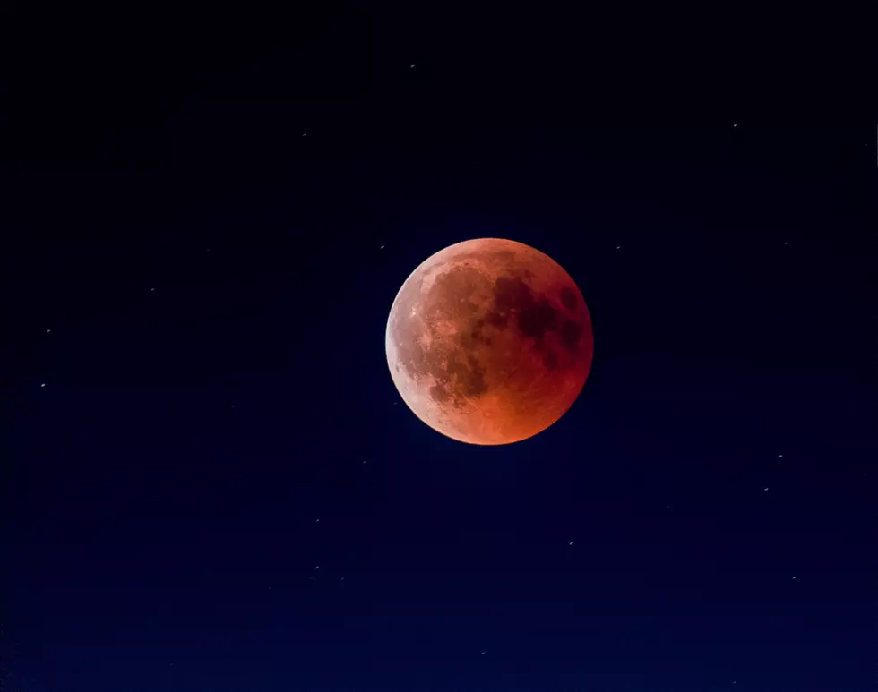 Full Beaver Moon + Total Lunar Eclipse Happening Tomorrow Morning