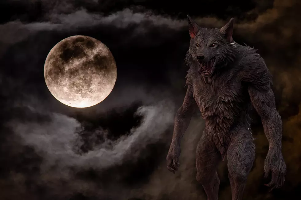 It Turns Out Indiana and Kentucky Both Have a Fascination With Werewolves