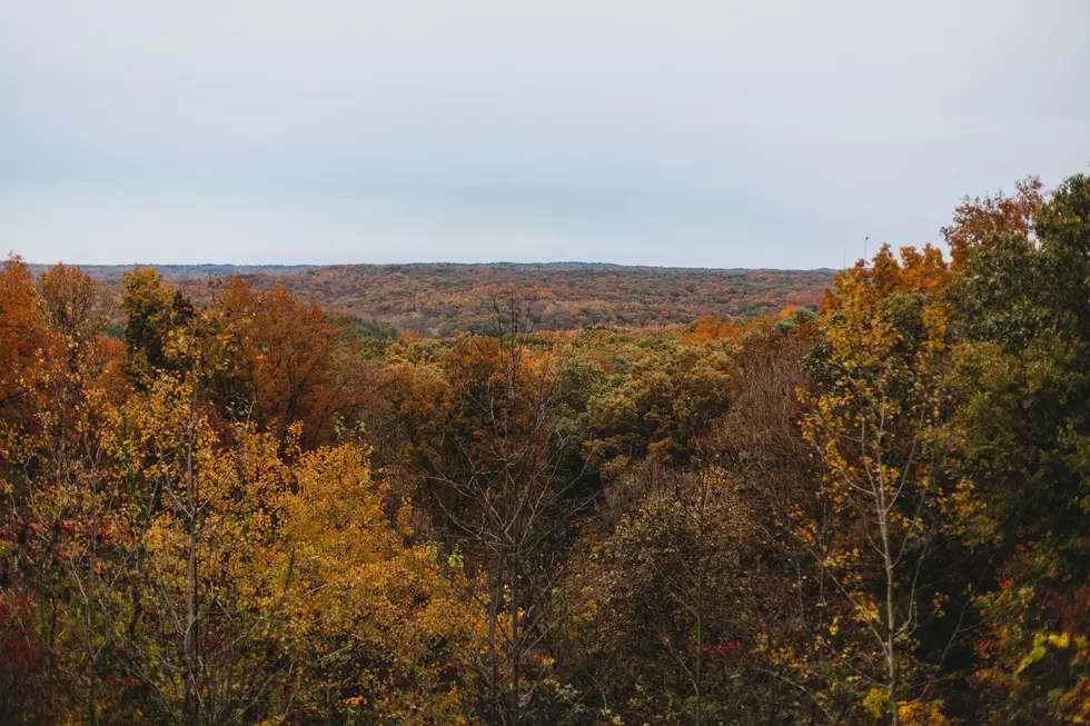 Stunning Fall Foliage Video Shows How Beautiful Indiana Can Be