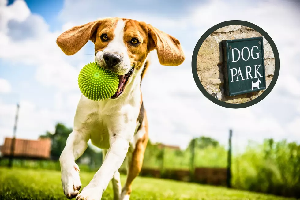Indiana’s Woodmere Dog Park Closer to Becoming a Reality