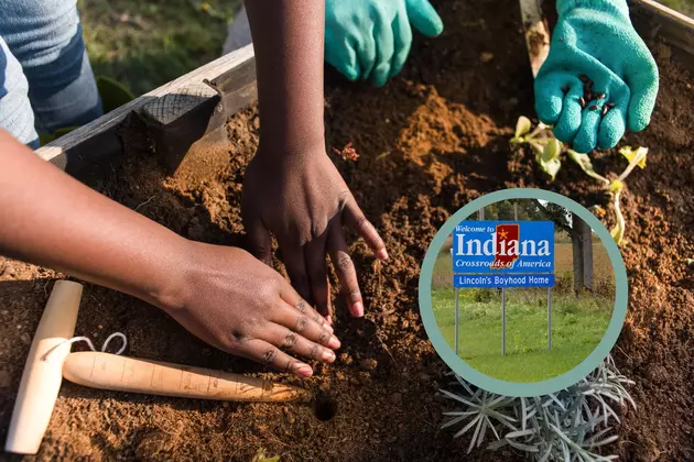 Indiana Youth Organization Seeking Donations to Launch Community Garden Project