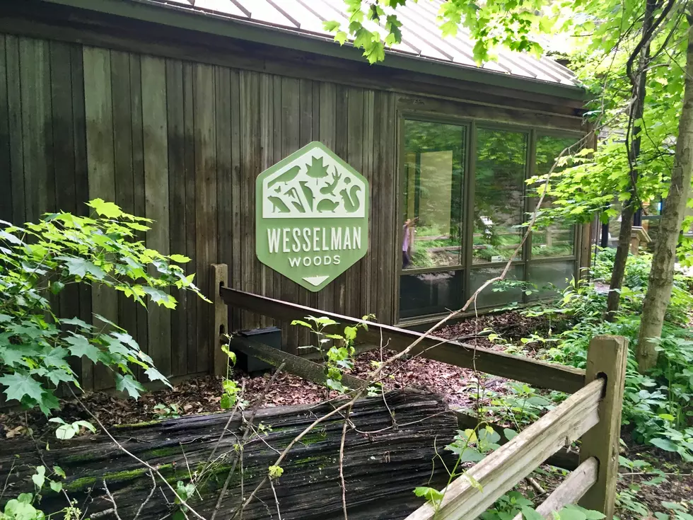 Wesselman Woods Hosting Free Days the Last Saturday of Every Month in 2023