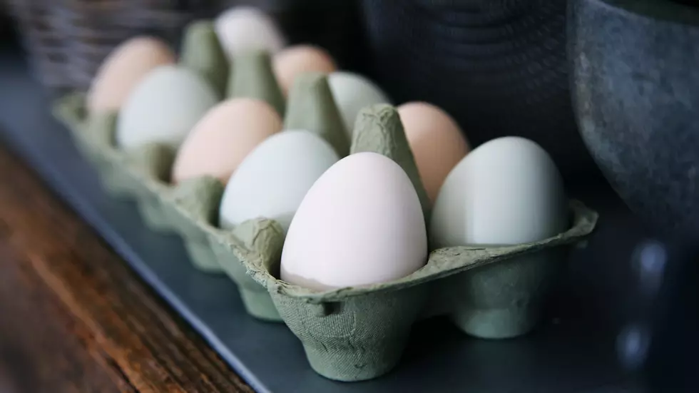 What is Up with the Expensive Egg Prices in Kentucky?