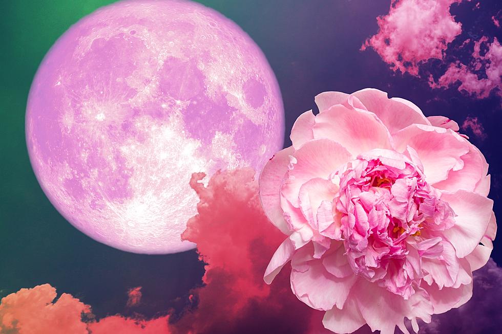 The First Full Moon of Spring is the Pink Moon &#8211; Here&#8217;s When to See it Over Indiana and Kentucky