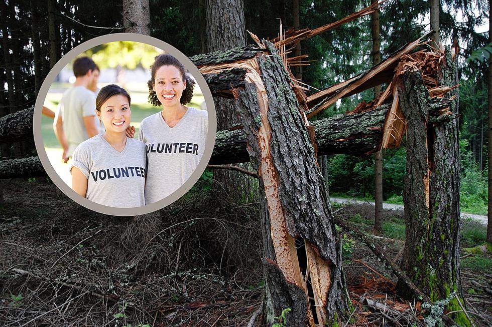 Volunteer with Tornado Cleanup Efforts at Indiana’s McCormick’s Creek State Park