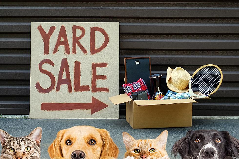 Shop Secondhand and Save Lives: Support It Takes a Village No-Kill Rescue at their Annual Yard Sale!