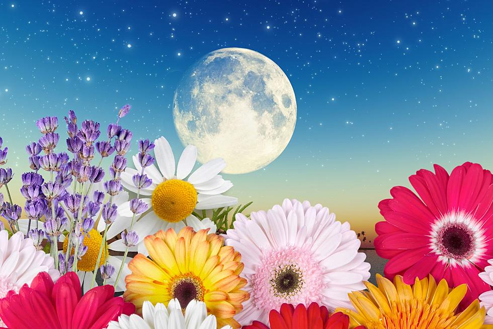 Full Flower Moon 2023: Meaning and When to See It in IN & KY