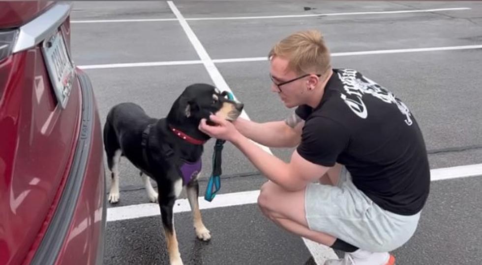 Billboard Dog: Soldier Reunites with Pup Thanks to Indiana Rescue