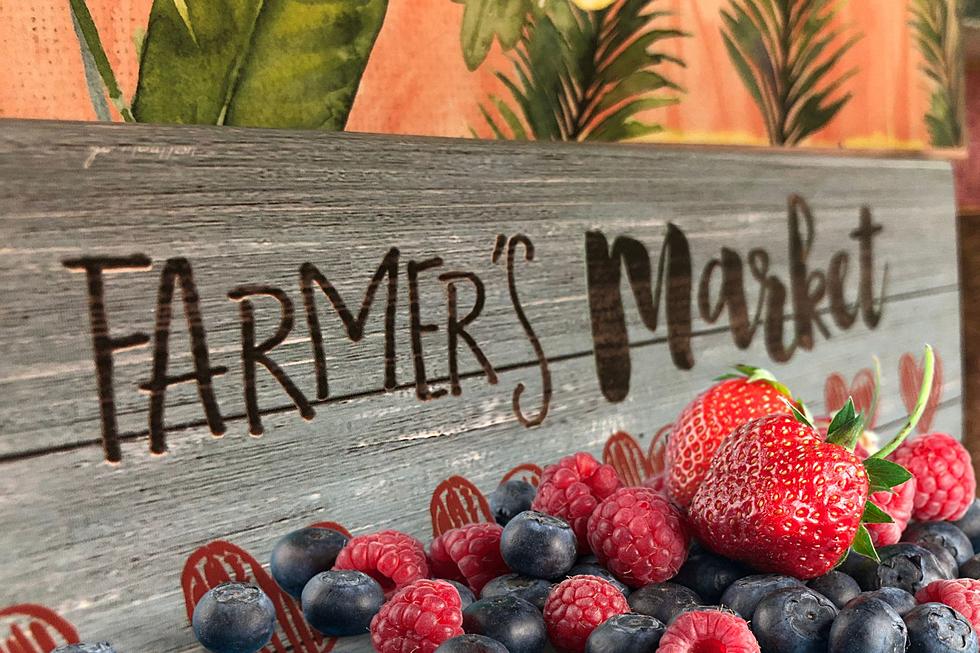 Fresh Berry Picking at These 5 Local Places Near Evansville IN