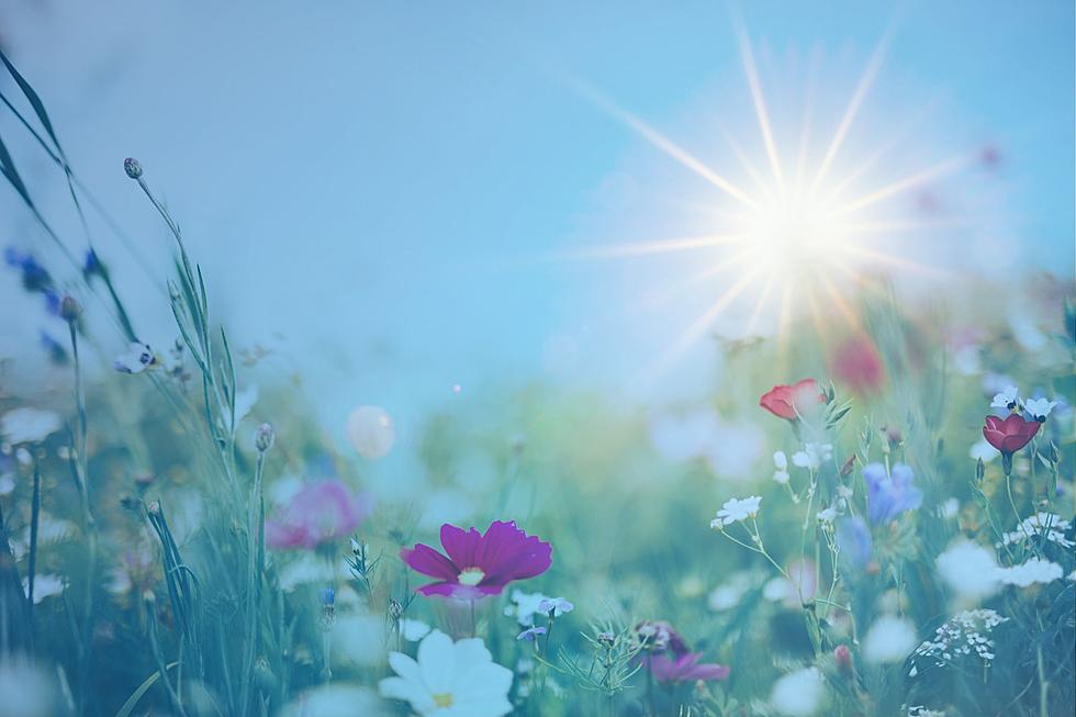 Embracing the Summer Solstice: Welcoming the Transition as Days Begin to Shorten