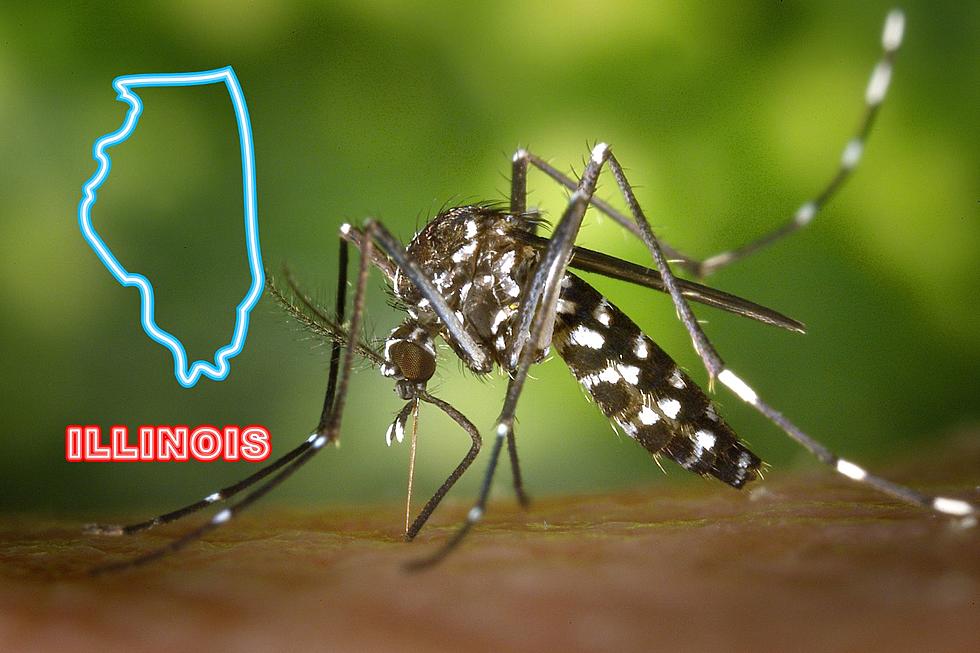 West Nile Virus Alert: Illinois Department of Public Health Urges Residents to Take Action During Mosquito Season