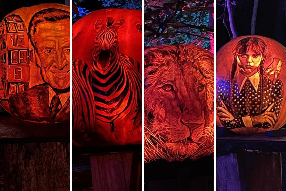 See Photos From the 2023 Louisville Jack-O-Lantern Spectacular