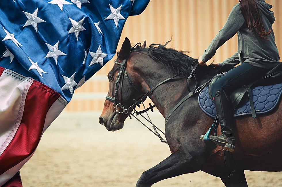 Event to Honor Veterans and First Responders with Healing Reins