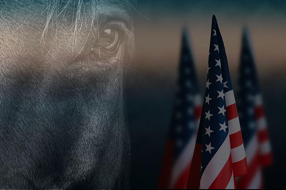 Veterans Invited to Attend Free Open House Hosted by Hoof Beats Therapeutic Riding