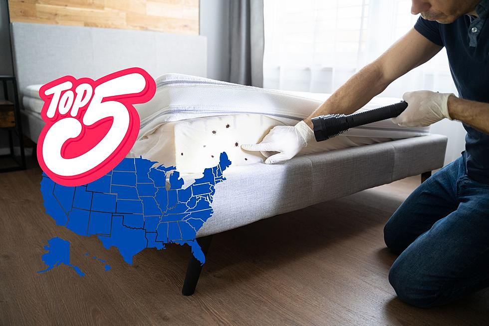 Ew! Indiana and Kentucky Rank in Top 5 Worst States for Bed Bugs