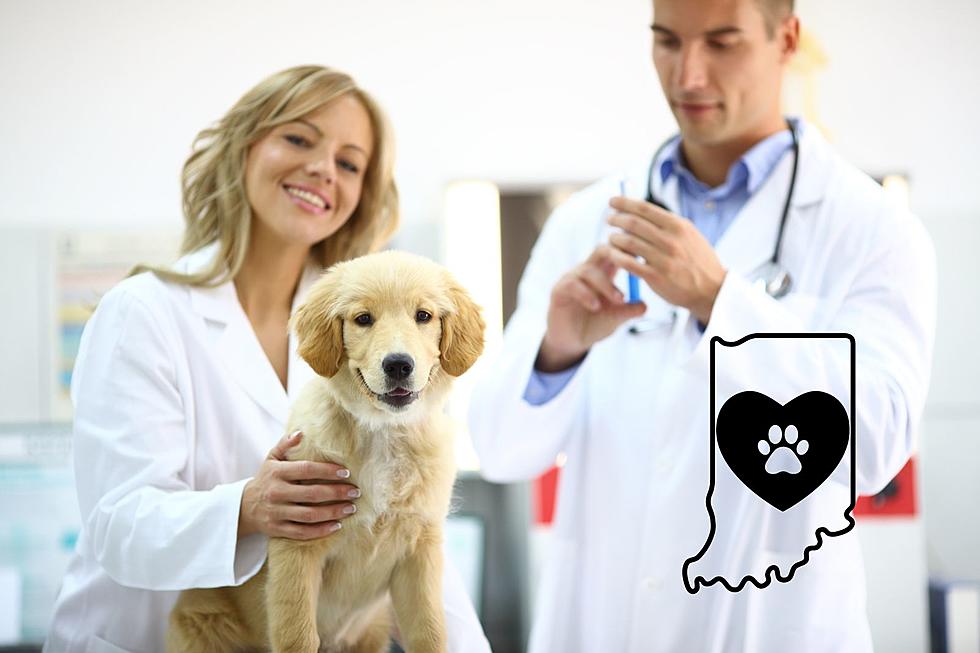 Indiana Non-Profit Hosting Canine Influenza Clinic