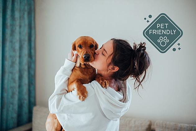 Travel Tip: This is the Best Pet-Friendly Hotel in Indiana