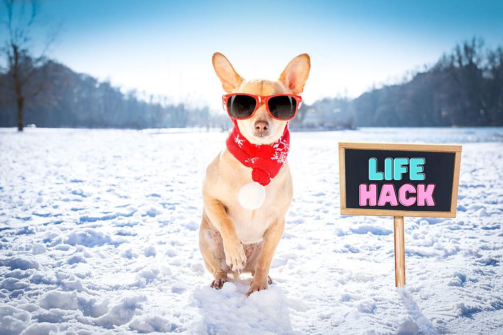 Cheap DIY Hack Can Help Your Dog 'Go' in the Snow 