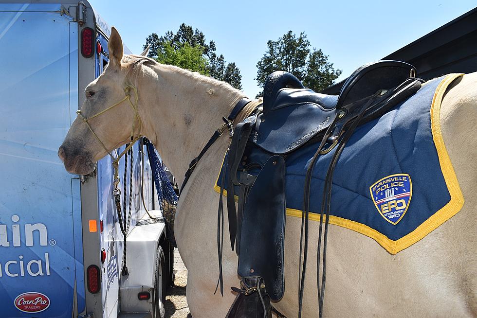 Indiana Police Department Mourns Loss of Mounted Patrol Unit Member ‘Blondie’