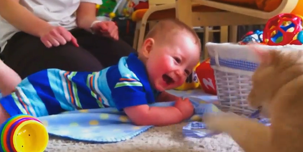 Monday&#8217;s are Dumb, So Here are Babies Laughing at Cats [VIDEO]