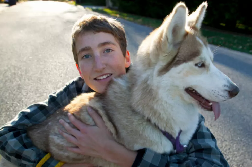 Millions Of Strangers Post Pictures Of Their Dog On Facebook For Anthony [PHOTO]