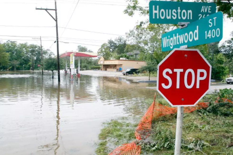Holy S–T! Look What’s in the Flood Water in Houston [PHOTO]