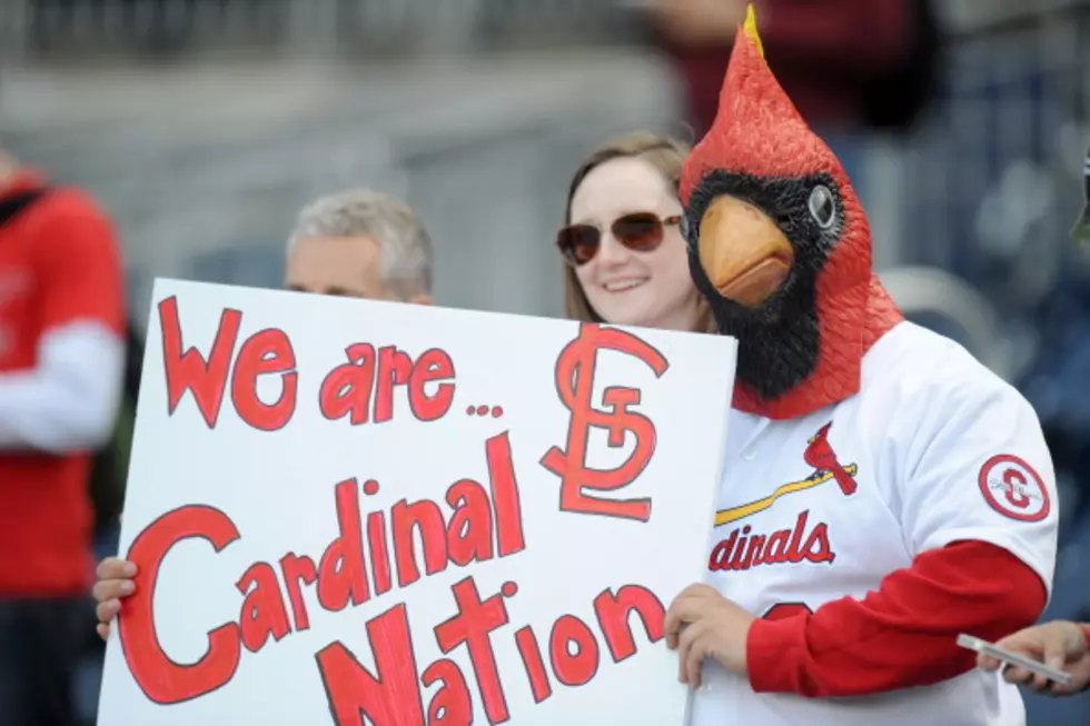 Cubs Get Owned by Cardinals Fan on Twitter [PHOTOS]
