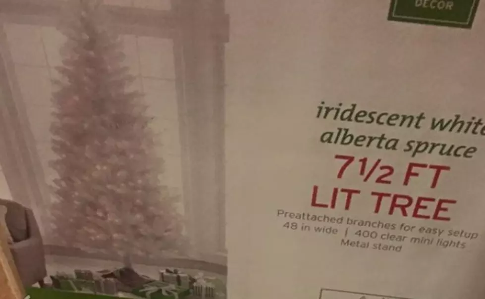 Chicago Woman Buys Target Christmas Tree, Gets This Instead [PHOTOS]