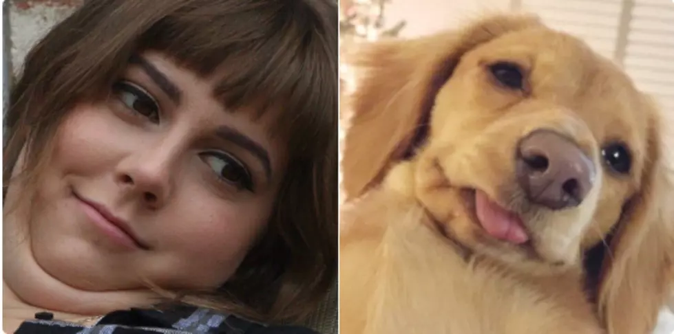This Twitter Account Will Find Your Doggy Doppelganger [PHOTOS]