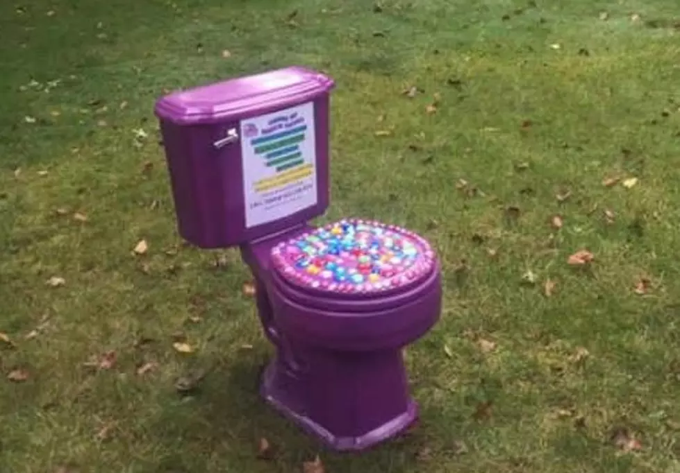 Have You Seen this Bedazzled Purple Toilet?