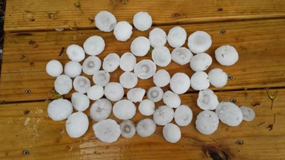 Be Aware Of Scam Artists After Hail Storm Hits Rockford Region