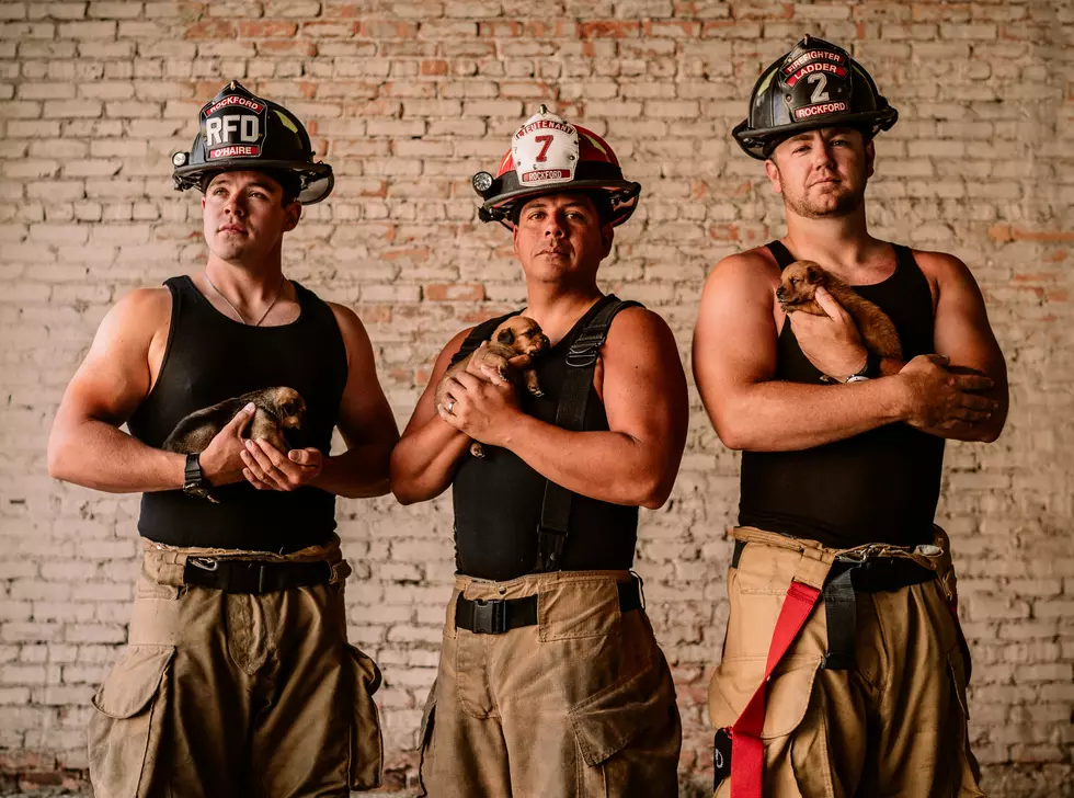 Your 2018 Rockford Area Firefighter Calendar is Here Featuring Hot Guys and Cute Puppies