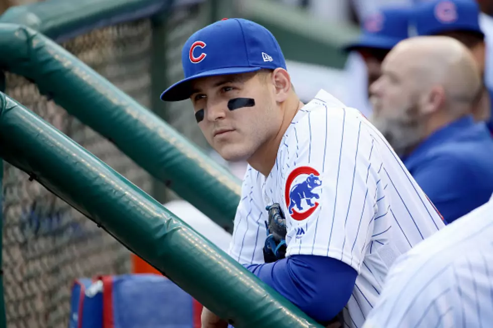Anthony Rizzo is an Alumn of the Florida High School Where Most Recent Shooting Took Place