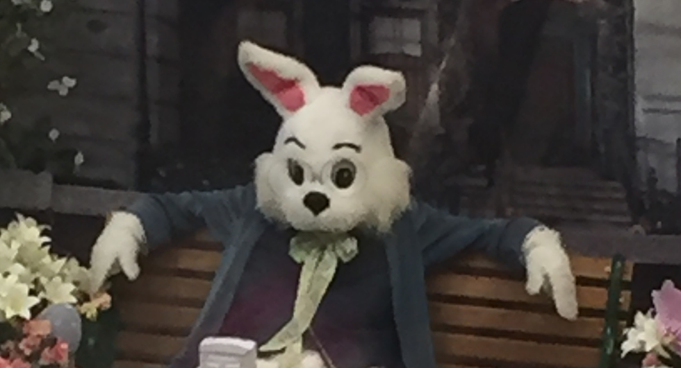 This Hilarious Woodfield Mall Easter Bunny Photo Is So Wrong It’s Almost Right