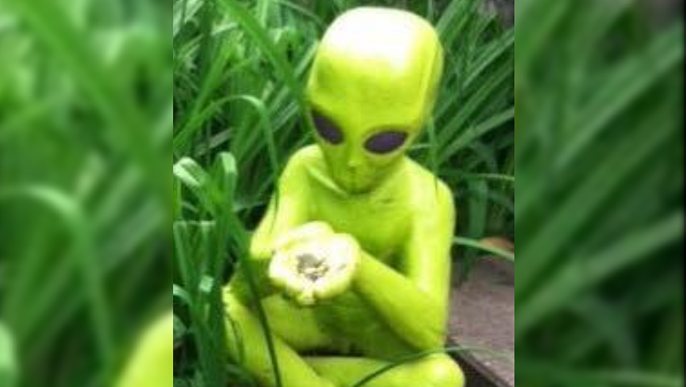 Abducted Alien Statue Returned To Rockton Woman