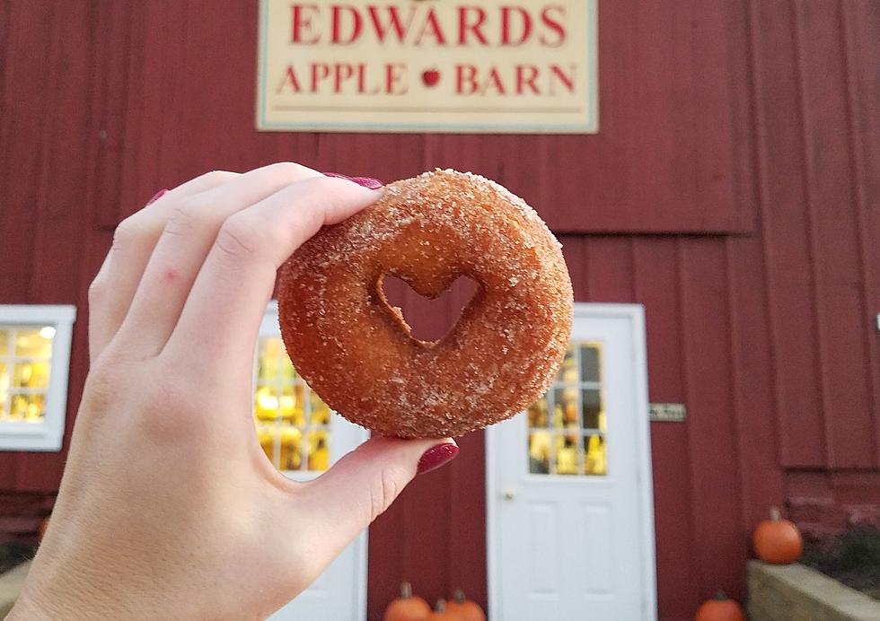 Bring on the Donuts! Edwards Apple Orchard Announces Opening Date