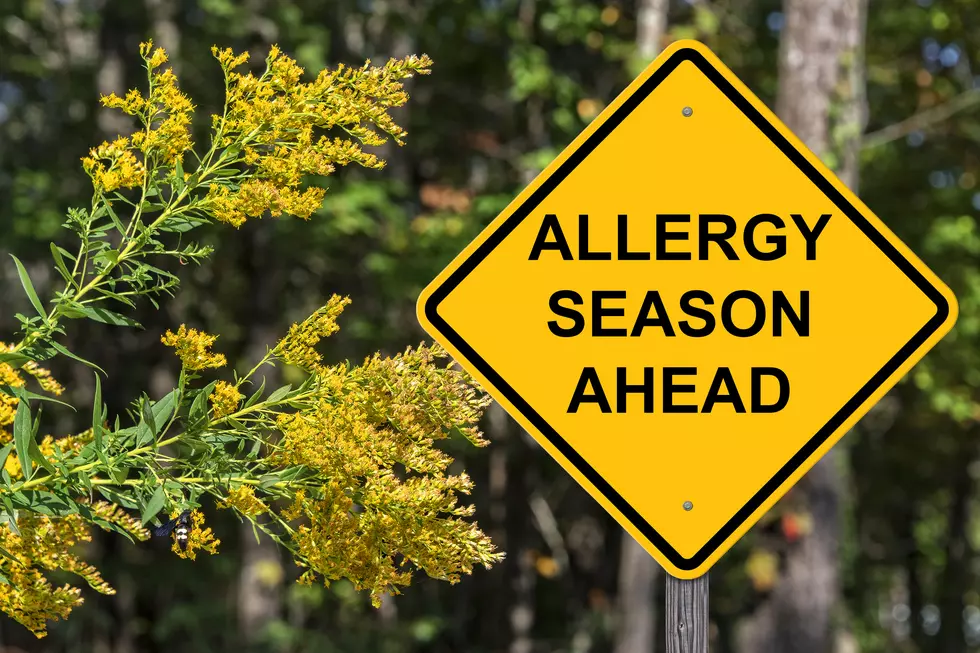 You Vs. Your Fall Allergies 