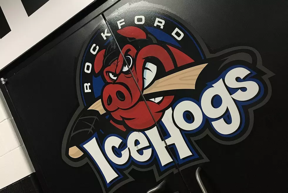 Donate to The Icehogs’ Pet Item Drive to Get a Free Ticket