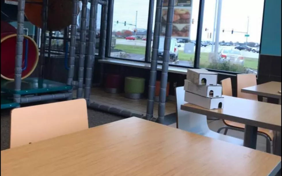 Woman Alleges Visible Mousetraps On Tables At Roscoe McDonald's