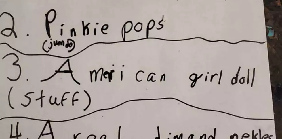 7-Year-Old Girl from Illinois Might Have the Best Christmas List of All