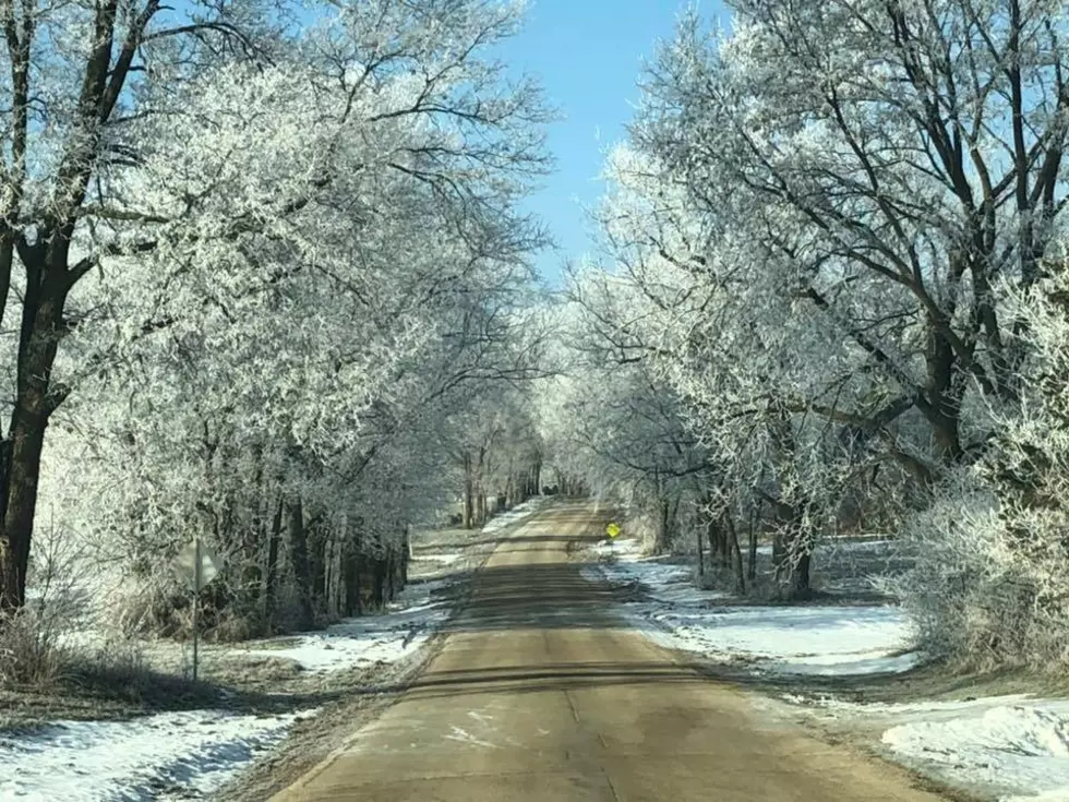 Rockford’s Frosty Monday Beautifully Captured in These Photos