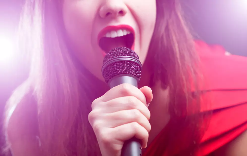 Rockford Karaoke Singers, the Illinois State Fair Needs You