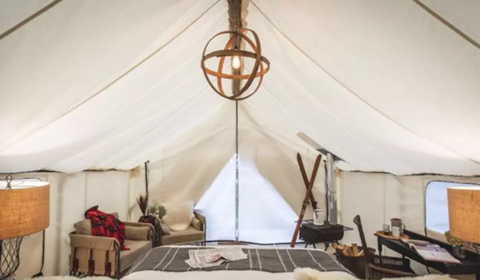 Glamping in Michigan Blueberry Field is a Summer Dream