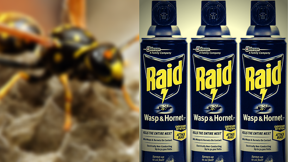 Wasp Spray Available in Illinois Used As Deadly Meth Alternative