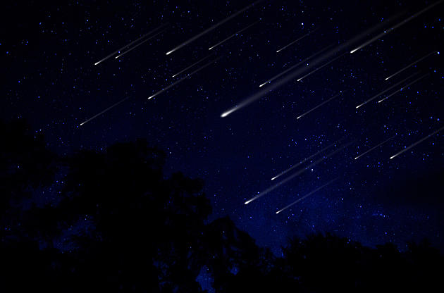 Byron Observatory is Offering a Free Viewing of The Perseid Meteor Shower