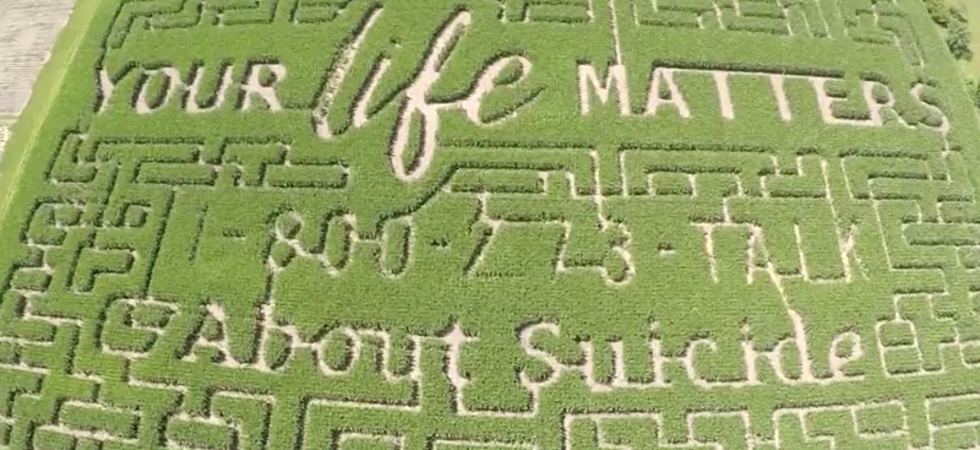 Wisconsin Farmer Carves Suicide Prevention Message into Corn Maze