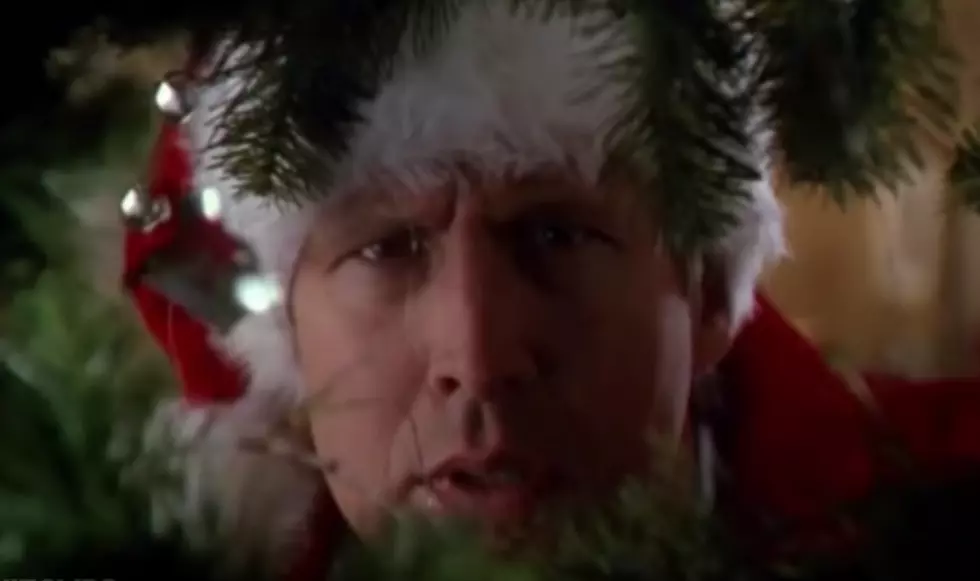 Christmas Vacation Returns To AMC Machesney Park For One Week Only