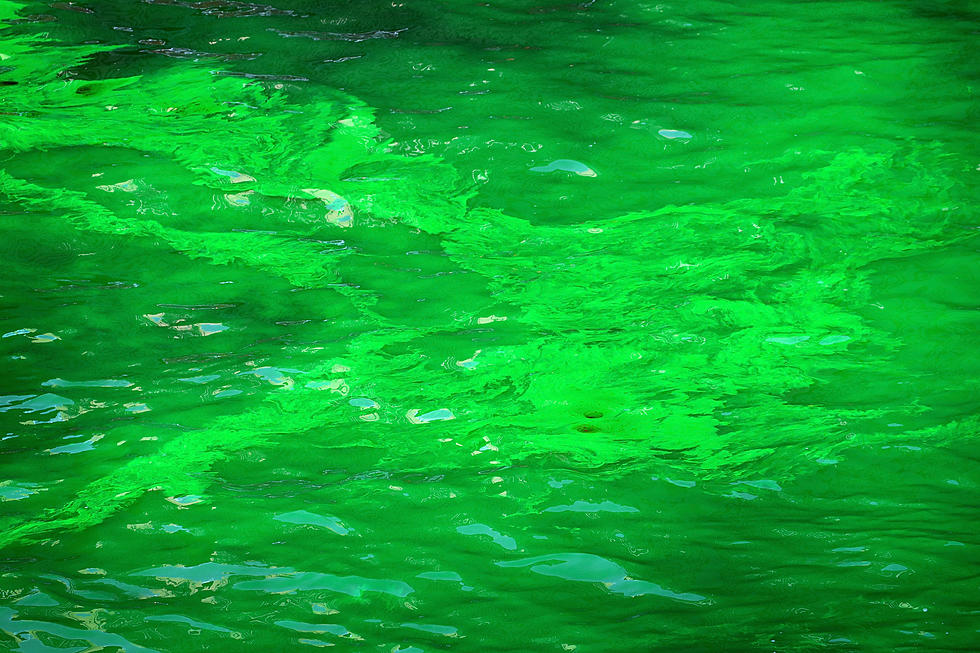 Rock River To Be Dyed Green For St. Patrick’s Day