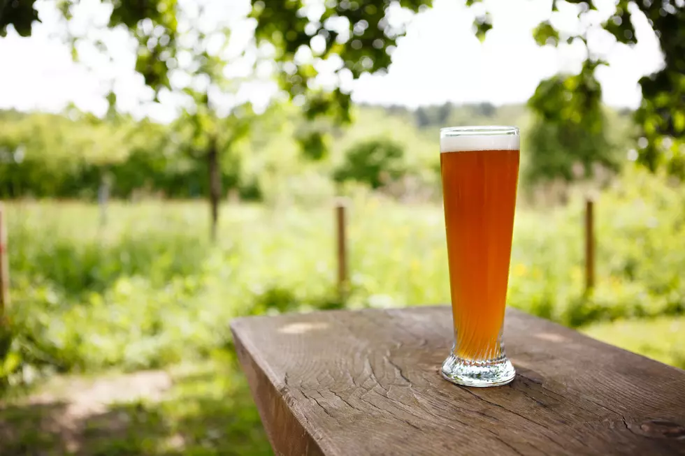 Get Paid $20,000 to Hike The Appalachian Trail And Drink Beer