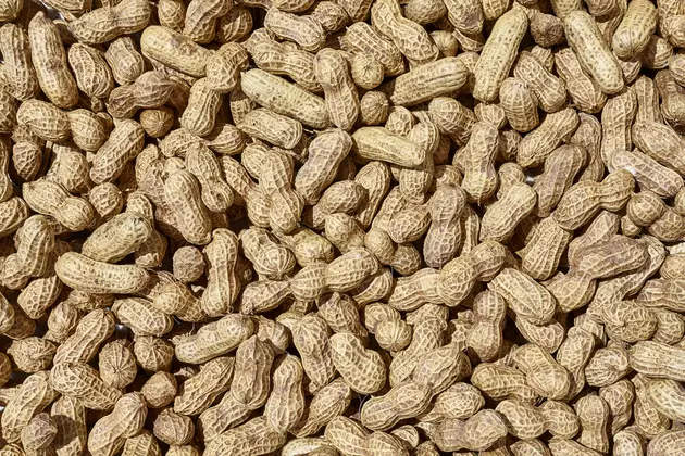 Since Baseball Got Delayed The Country Has a Surplus of Peanuts